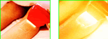 �t���b�V��